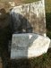Gravestone of Daniel Watrous